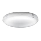 3F FILIPPI - 3F PETRA OP 380 22W/940 LED