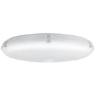 3F FILIPPI - 3F PETRA OP 620 50W LED EP