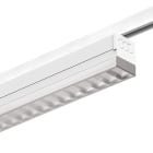 3F FILIPPI - 3F ZETA TK DR UGR 1X24/940 DALI L1194