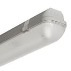 3F FILIPPI - 3F LINDA INOX 1X36 HF 5221