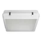 3F FILIPPI - 3F CUB LED 100W DALI CR SP 56346