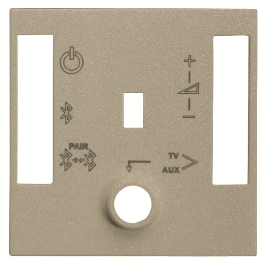 ABB - N2268.4 CV - COVER PER MODULO AUDIO BT