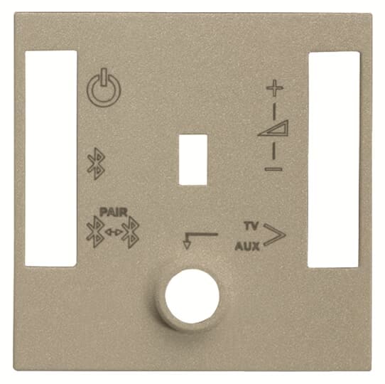 ABB - N2268.4 CV - COVER PER MODULO AUDIO BT