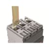 Miniatura Immagine principale 1