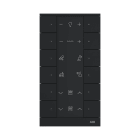 ABB - Controllo a 12 gang, nero opaco.