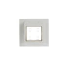 ABB - PLACCA MONTAGGIO A INCASSO IP55, 2 MOD, WHITE with Hinged Lid 2 gang - Chiara