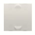 ABB - 2CSKK1002C - 2 bi.input module, 2 switch rockers, 2 CAN, 1 INT, Chiara, MOD. ING. BIN 2CSKK1002C