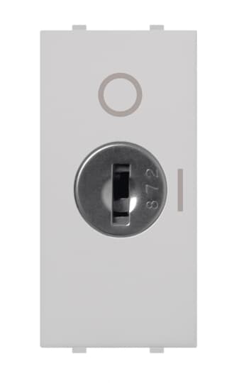 ABB - Pulsante a doppio polo, 16A - 250V~, con controllo a chiave, singolo pulsante a chiave 2 poli, 1NO 1NC 0CO bianco - Mylos 2P, 16AX a chiave.