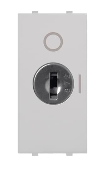 ABB - Pulsante a doppio polo, 16A - 250V~, con controllo a chiave, singolo pulsante a chiave 2 poli, 1NO 1NC 0CO bianco - Mylos 2P, 16AX a chiave. 2CSY1008MC