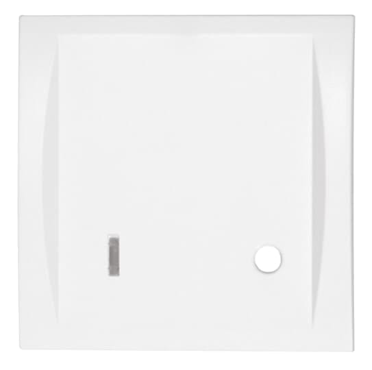 ABB - Placca per pulsante a tirante EI 683 3 Cover plate for pull-button 88880A3. EI 683 3