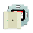 ABB - Control element 1g with BAU Ivory Single Interrupter