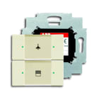ABB - Control element 2g with BAU double ivory switch