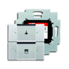 ABB - 6126/01-83-500 control element 2g with BAU interruttore doppio alluminio/argento.