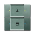 ABB - Control element 2/4gang doppio grigio metall.