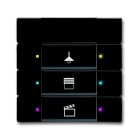 ABB - Control element 3/6g with IR, INT 3/6, matte black.