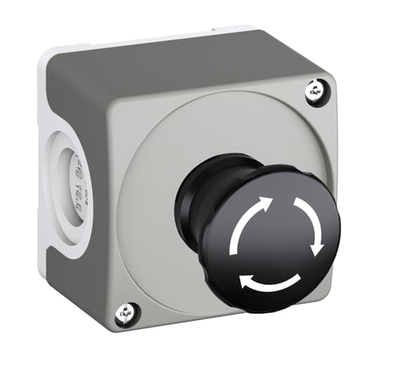 ABB - Dark grey/Light grey Assembled Enclosure with Machine Stop CEP1-1001 CUSTODIA.