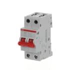 ABB - SD202/63 Switch Disconnector 2P 63 - INTERRUTTORE-SEZIONATORE M990417