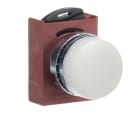 ABB - Pilota Luminoso Satinato con Differenziale Bianco.