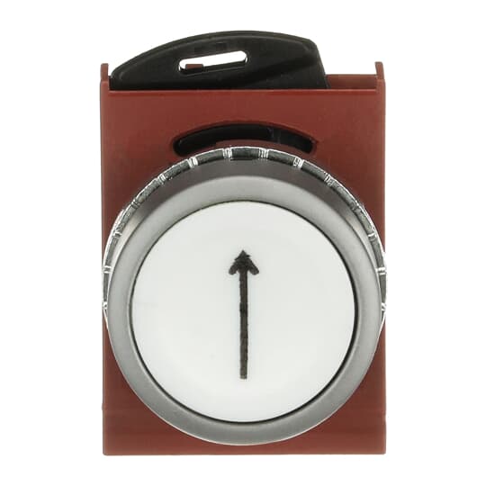 ABB - MARKED PUSHBUTTON SYMBOL ARROW RIGHT WHITE FLUSH NON-ILLUMINATED CON S.