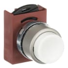 ABB - STD PB SATIN CHR EXTENDED WHT CAP PULSANTE SPORG BIANCO.