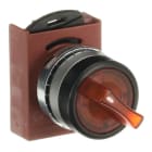 ABB - 3 posizioni illuminato selettore, installazione da sinistra e destra, organico. P9MSLZ3A