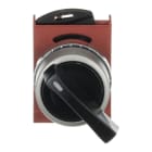 ABB - 2 posizioni selettore leva lunga, installazione da de switch; momentaneo da re. P9MSVD5N