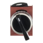 ABB - Selettore a leva lunga a 4 posizioni, installazione da destra; interruttore a leva a 4 posizioni, momentaneo da destra. P9MSVX5N