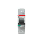ABB - Interruttore magnetotermico S801N-B16 36kA Curva B 16A AUTOMATICO 1