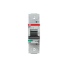 ABB - Interruttore magnetotermico S801N-D10 10A Curva D 36KA 1