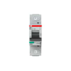 ABB - Interruttore magnetotermico 36kA Curva D 16A S801N-D16 AUTOMATICO 1