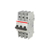 Miniatura Immagine principale 1