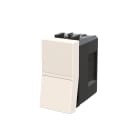 ABB - Switch 1-way, DP - 1M - Total White N2101.2T BB INT. 2P VITE BIANCO ILLUM.