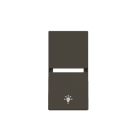 ABB - Rocker cover light symbol - 1M - Anthracite N2109.11 AN - Coprit. simb. luce.