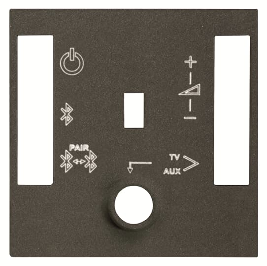 ABB - Cover plate for BT sound module - 2M - Anthracite N2268.4 AN - COVER PER MODULO AUDIO BT.