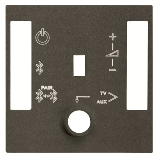 ABB - Cover plate for BT sound module - 2M - Anthracite N2268.4 AN - COVER PER MODULO AUDIO BT. Z1526AN