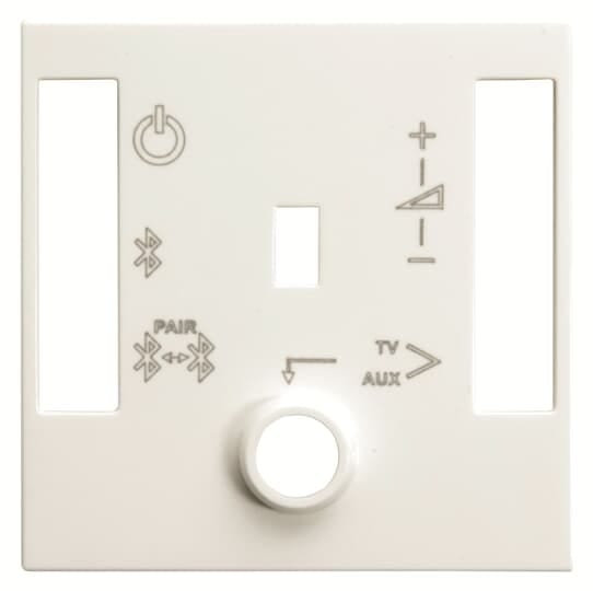 ABB - Cover plate for BT sound module - 2M - White N2268.4 BL - cover per modulo audio BT. Z1526BL