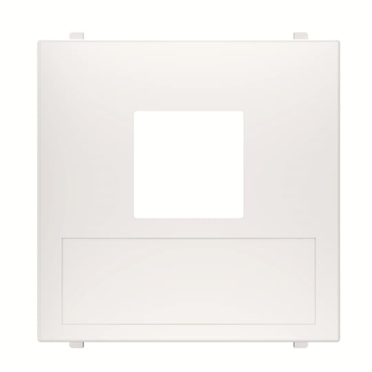 ABB - Cover plate for data outlet 1-gang - 2M - White N2216.1 BL - COVER PER PRESA DATI 2MOD.