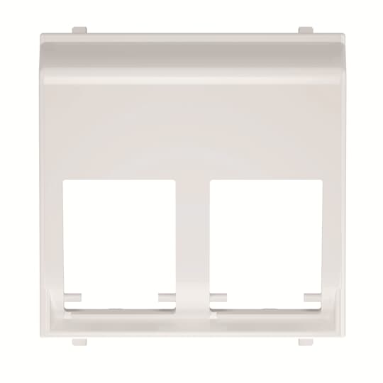 ABB - Cover plate for data outlet 2-gang at 45ºs - 2M - White N2216.6 BL - Cover 45? Doppia presa dati.