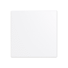 ABB - LFW/A.1.63.1-84 COV63 1AR NO SIMB BIA LU 2CKA006199A0101