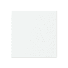 ABB - LFW/A.1.63.1-884 COV63 1AR NO SIMB BIA O