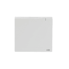 ABB - SAP/S.3 System Access Point 2.0 - SYSTEM ACCESS POINT 2.0 - SAP/S.3 2CKA006200A0155