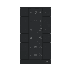 ABB - Controllo a 12 gang, nero opaco.