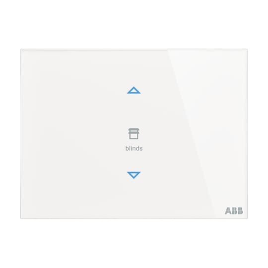 ABB - TB/U2.8.1-CG Control element 2g PLACCA TOUCH, 2 CANALI VERT.