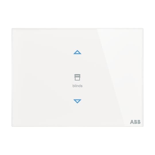 ABB - TB/U2.8.1-CG Control element 2g PLACCA TOUCH, 2 CANALI VERT.