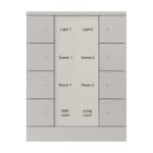 ABB - Control element, aluminium silver PLACCA 8P+SENS.TEMP. ARGENT.