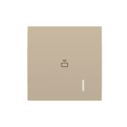 ABB - TR/U 1.1.ZC Card Reader Zenit Champagne LETTORE TRANSPONDER ZENIT 2CSY247300R5000