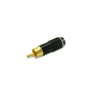 ALPHA ELETTRONICA - Spina coassiale RCA anodizzata polarizzata - Bianca