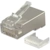 Miniatura Immagine principale 1