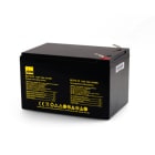 ALPHA ELETTRONICA - Batteria ricaricabile Litio LiFePO4 12,8V 12Ah con BMS