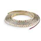 ALPHA ELETTRONICA - Striscia Led 120 Led/m 2835 - 12Vdc - 9,6W/m - Bianco caldo